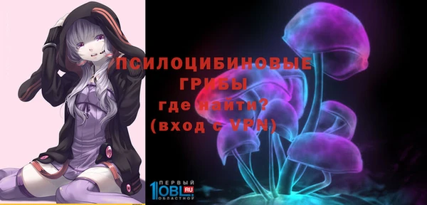 прущий лед Лиски
