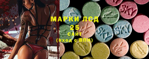 ПСИЛОЦИБИНОВЫЕ ГРИБЫ Липки