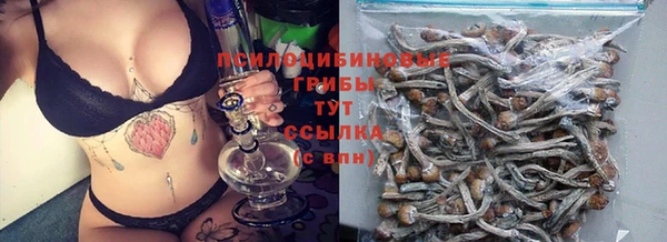 прущий лед Лиски