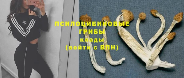 дурь Лихославль