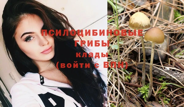 ПСИЛОЦИБИНОВЫЕ ГРИБЫ Липки